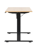 ELTA ERGONOMIC ELECTRIC TABLE SINGLE MOTOR