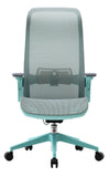 ESTI ERGONOMIC CHAIR (BLUE)