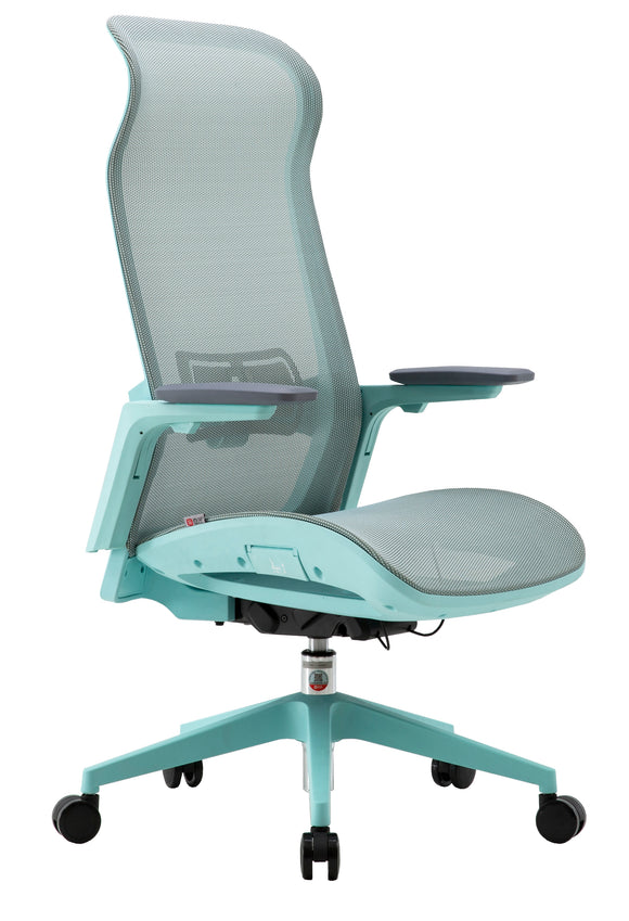 ESTI ERGONOMIC CHAIR (BLUE)